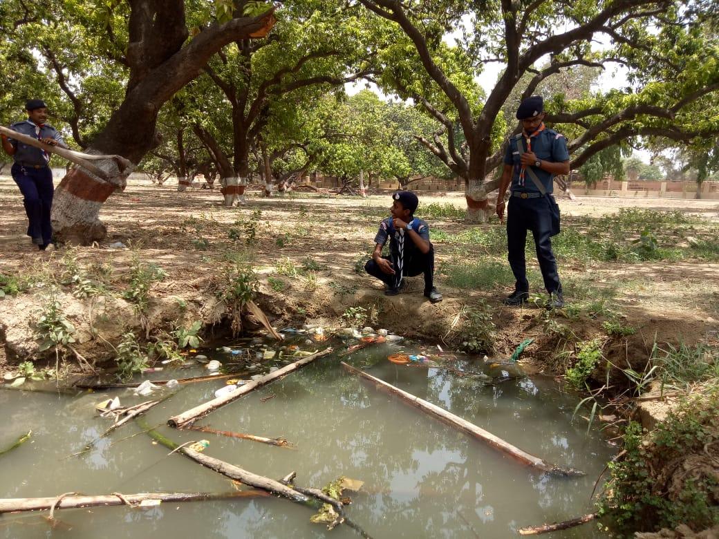 Pond Situated