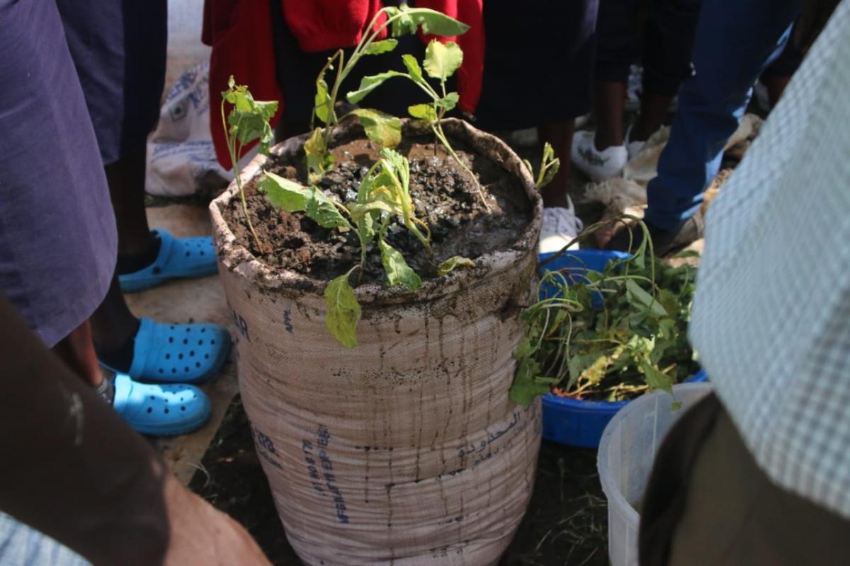 Smart Farming