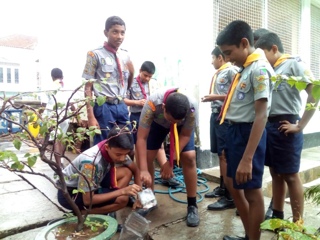 Dengue project at Asoka college colombo Sri  Lanka