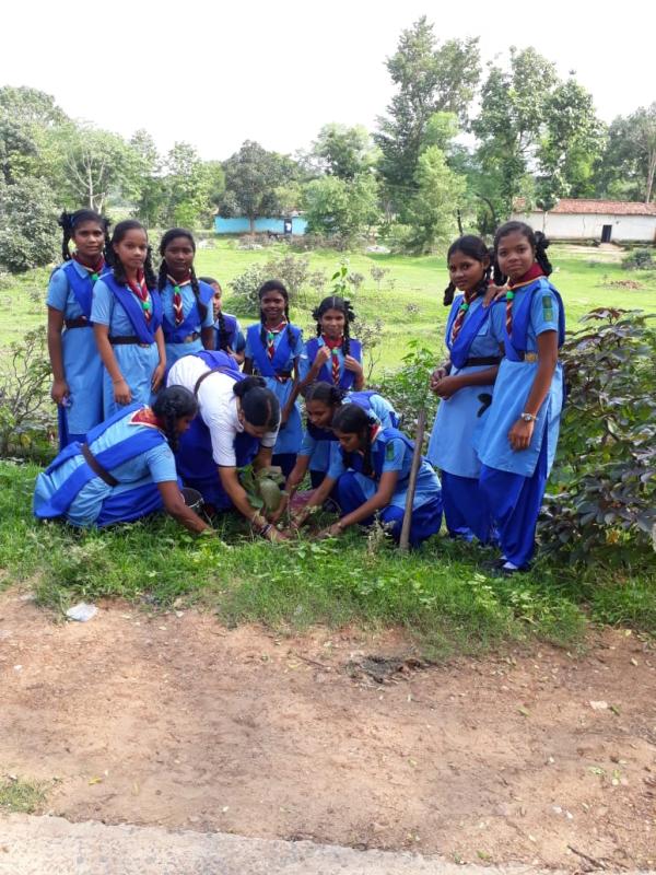 plantation programme