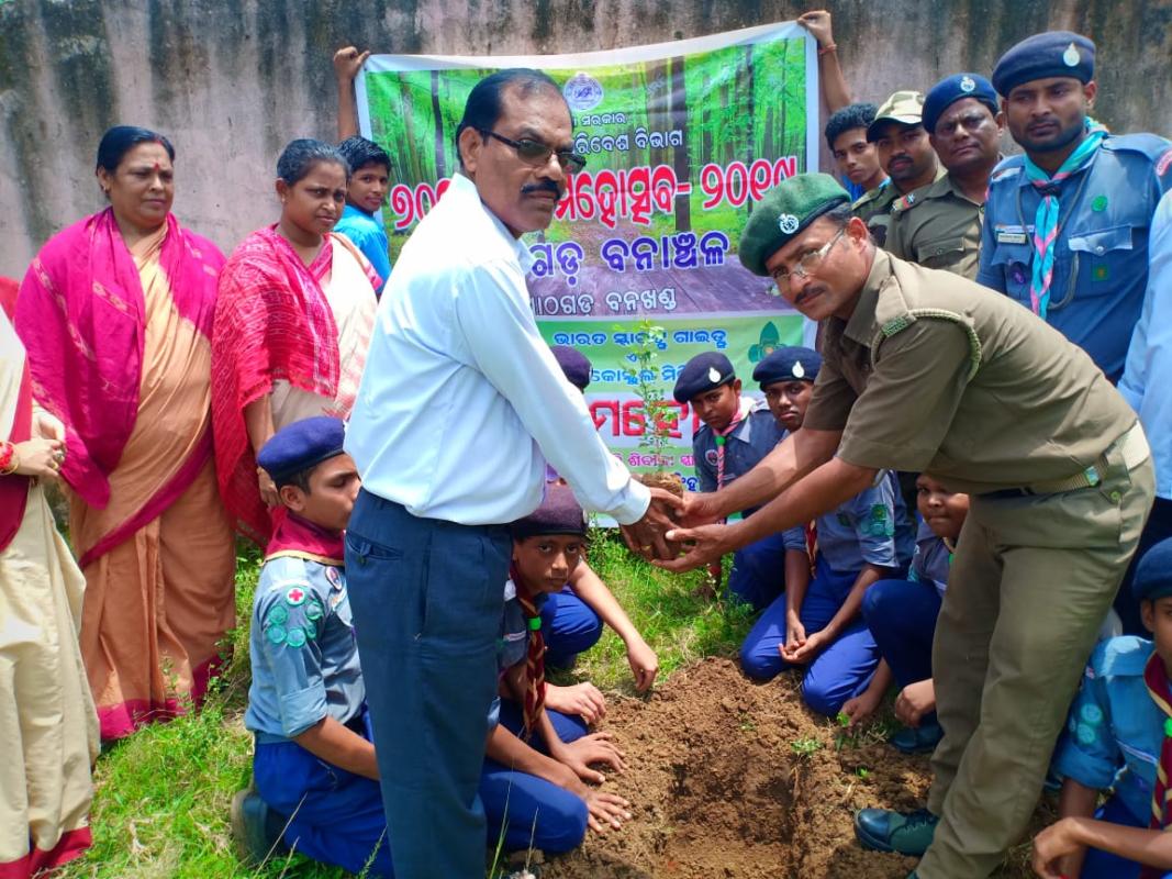 Plantation programme