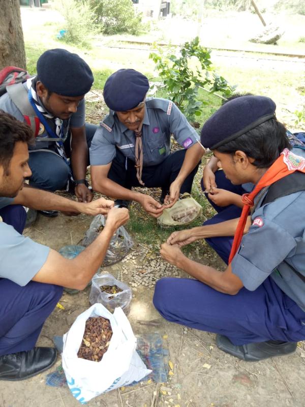 ABHIMANYU SCOUT GROUP SEED AGGREGATION BANK
