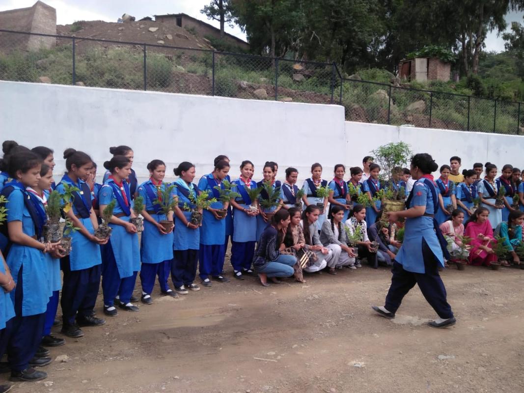 Ranger planting during the Van Mahotsav