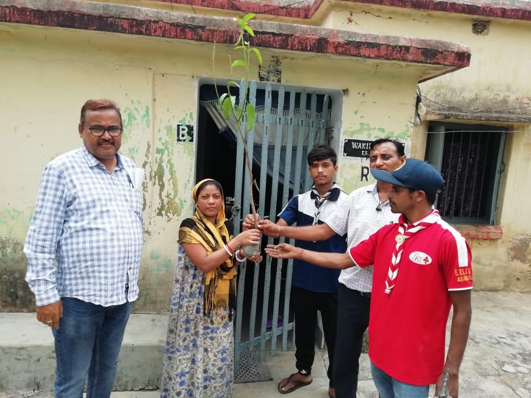 Plantation and distribution of tree