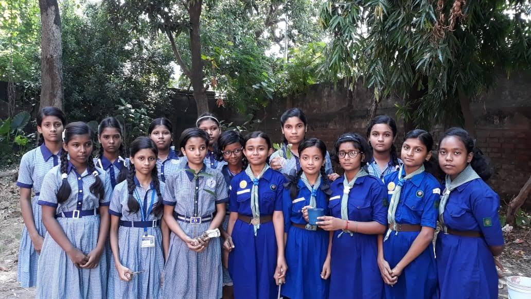 Planting trees (celebrating Vanmohotsav day)