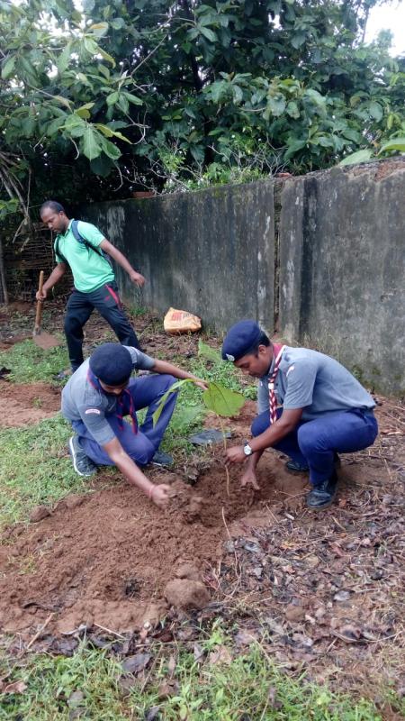 plants a tree plants a hope#6