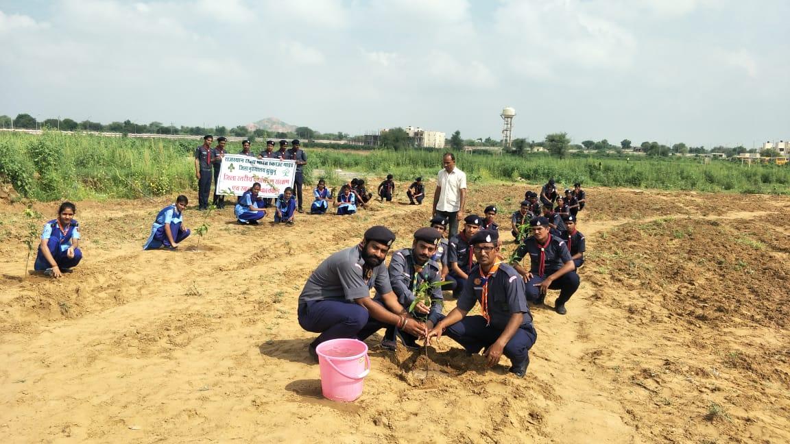 जिला स्तरीय पर्यावरण संरक्षण एवम स्वच्छता  कार्यक्रम 