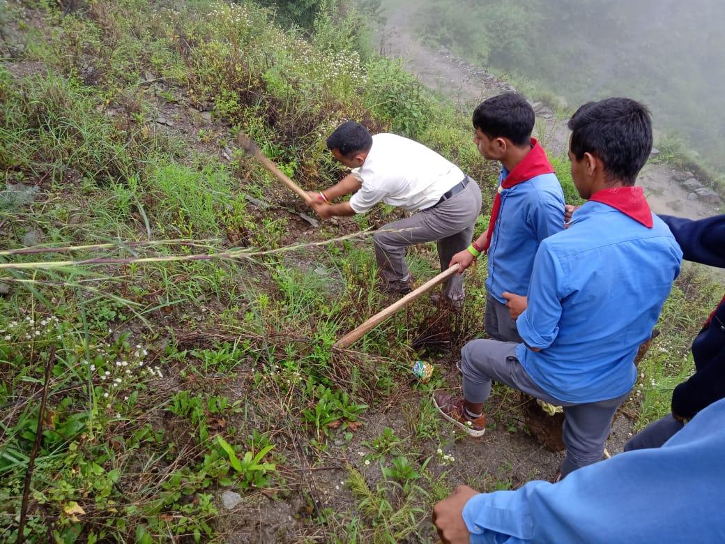 पौधरोपण व पर्यावरण संरक्षण 