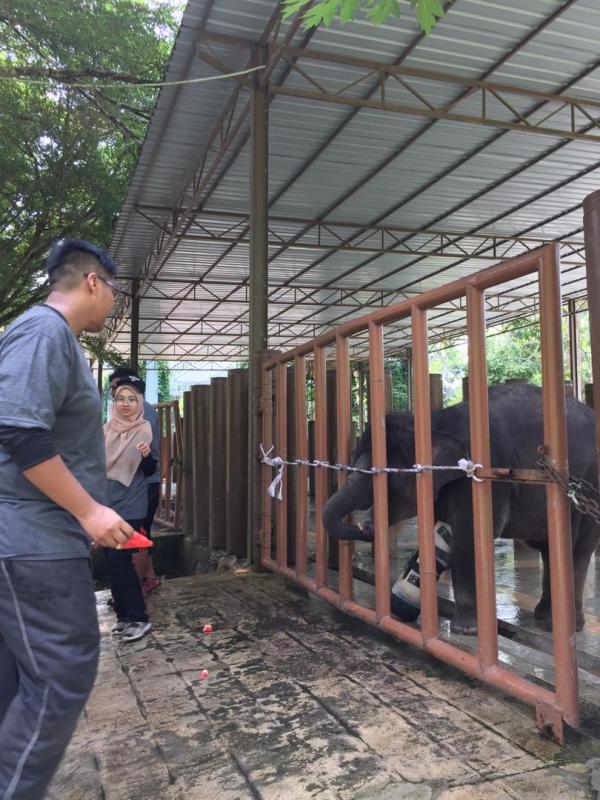 CSR at Elephant Conservation Center