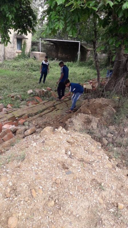 Protection area for plant