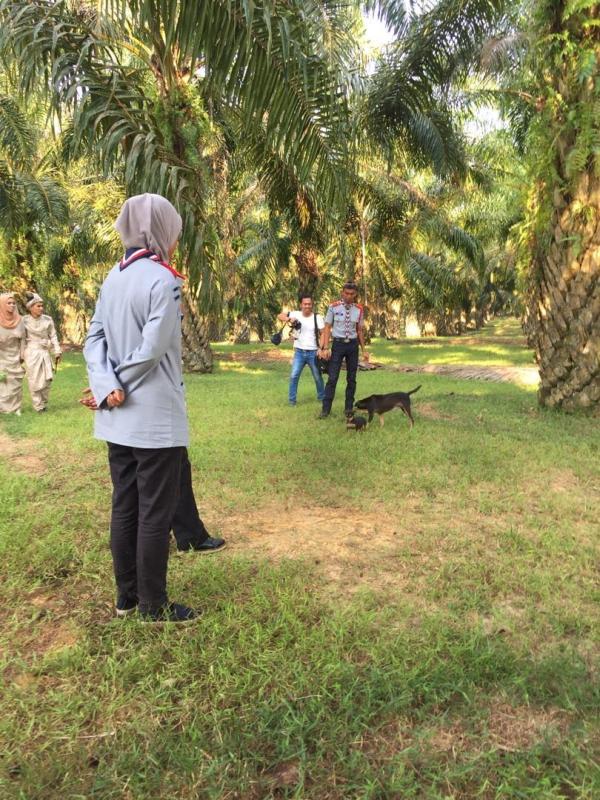 Berkhidmat di Perkahwinan Ahli Pengakap C Pekan, Pahang