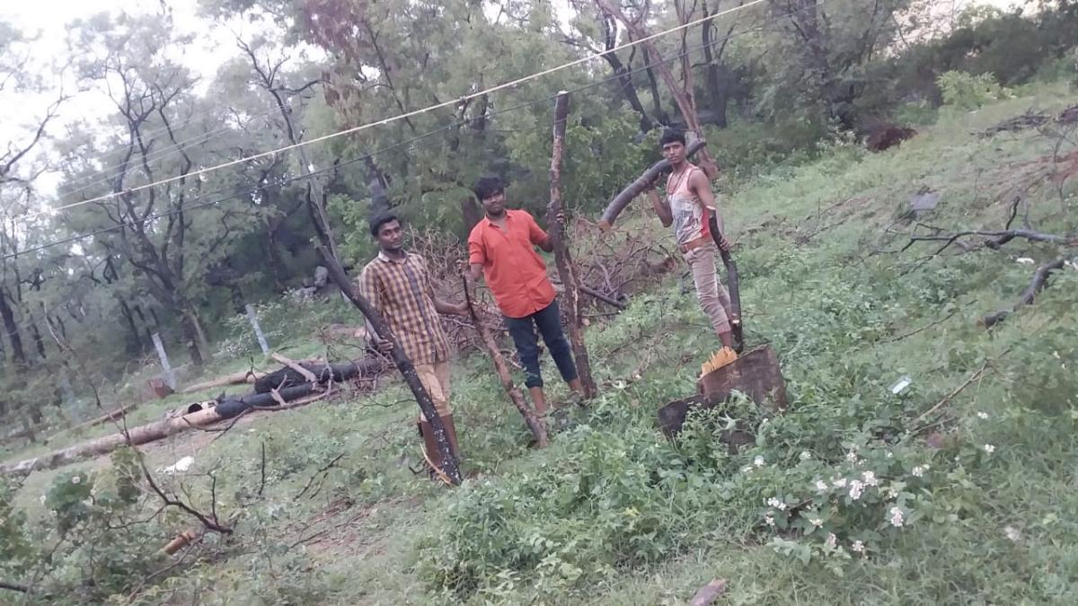 camp site service work