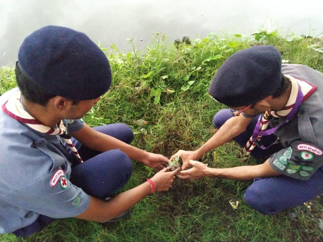 Planting trees for a better tomorrow.