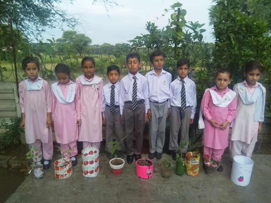 plantation awareness 