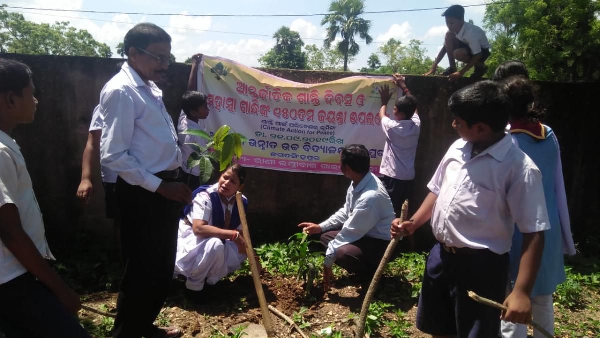 Plantation 