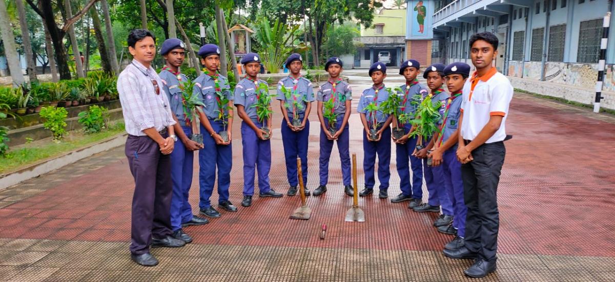 Plantation towards Green