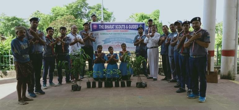 TREE PLANTATION and AWARENESS on INTERNATIONAL DAY OF PEACE 2019

