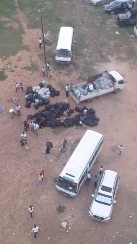 International Peace Day