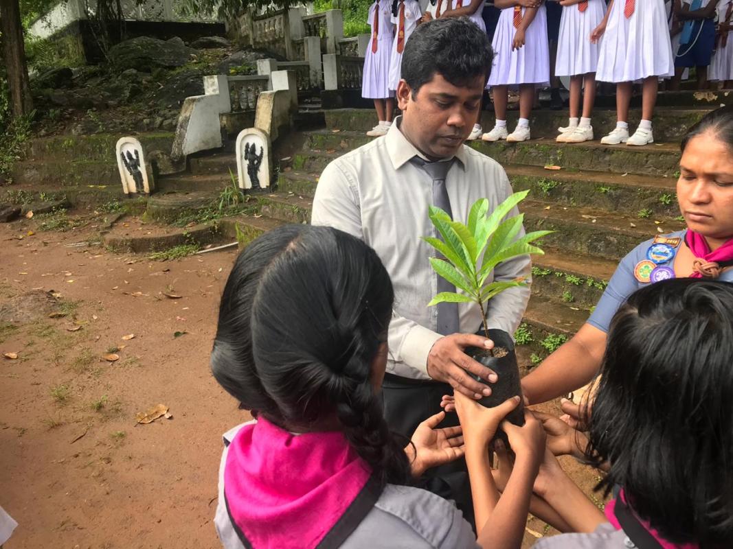 International Day Of Peace 2019 - Tree Planting Program Organized by Aluthapola Walagamba Cub Scout Pack in Sri Lanka Scout Association Negombo District Branch 