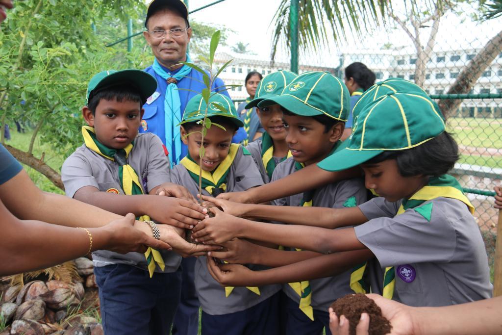 International Day Of Peace 2019 - Tree Planting  Program Organized by St.Jude's College Sea Scout Troop in Sri Lanka Scout Association Negombo District Branch