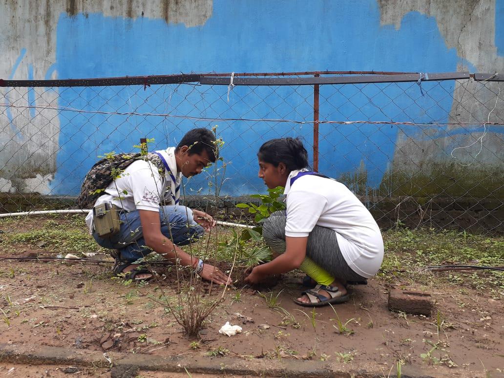 Plantation Drive