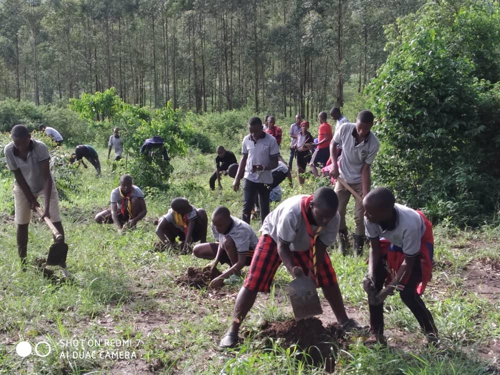 Tree planting by Ntare Scout's in Western Uganda