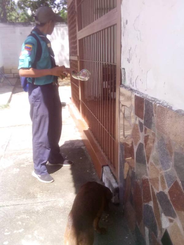 EL PERRO MI AMIGO FIEL