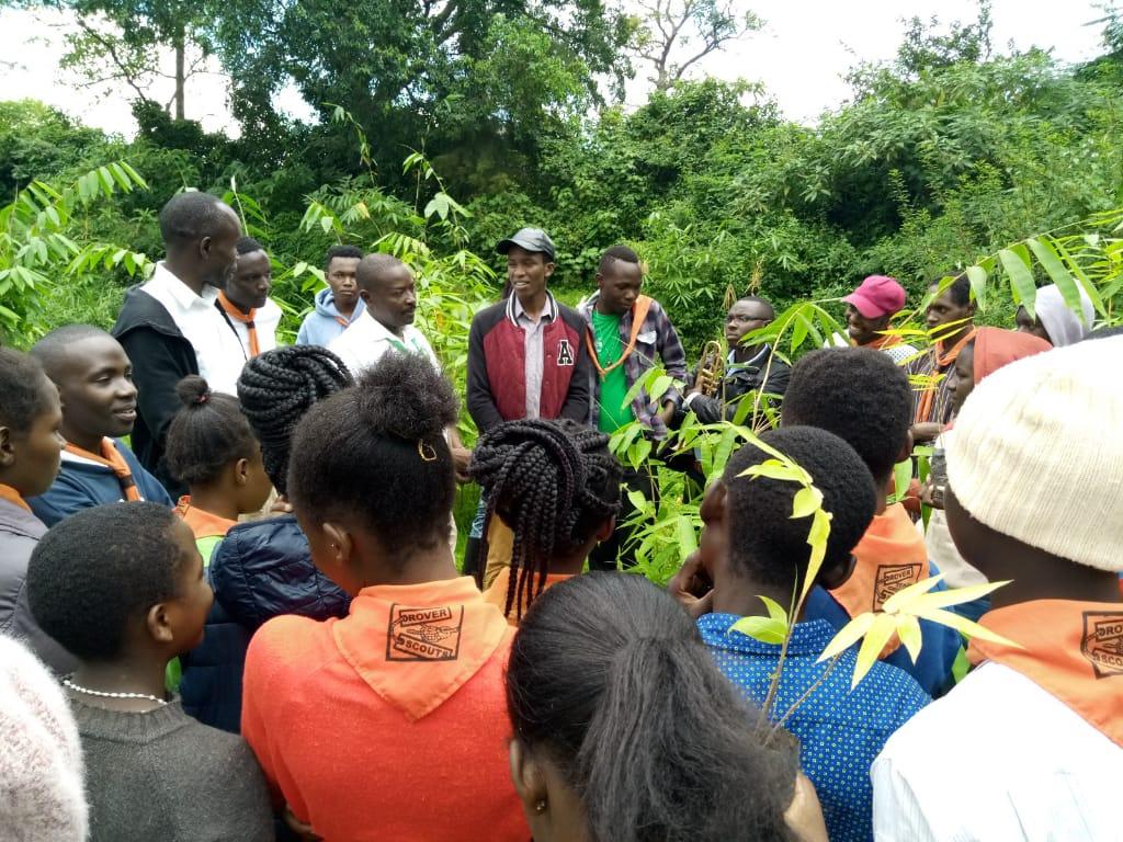 BAMBOO PLANTING AND PROPAGATION