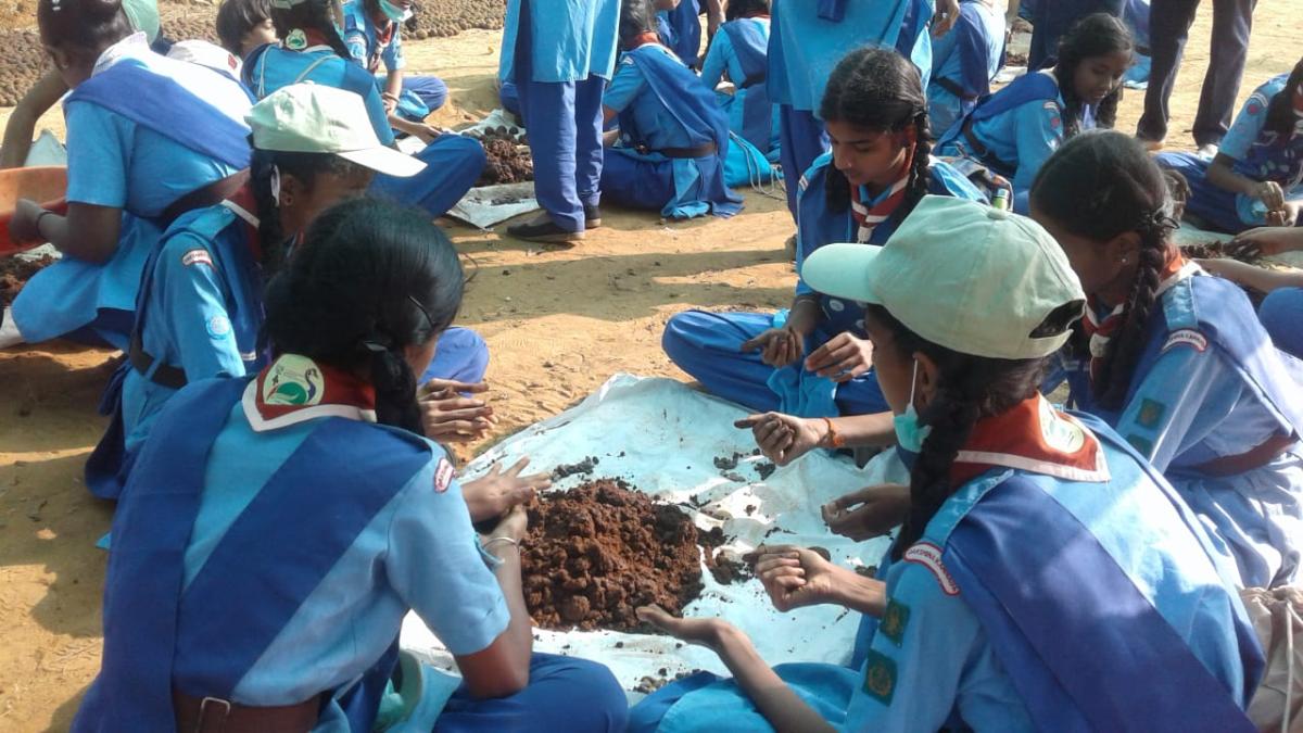 bijadhaunde seeds