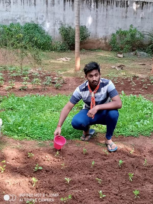 Plantation Work