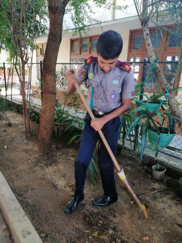 Planting campaign