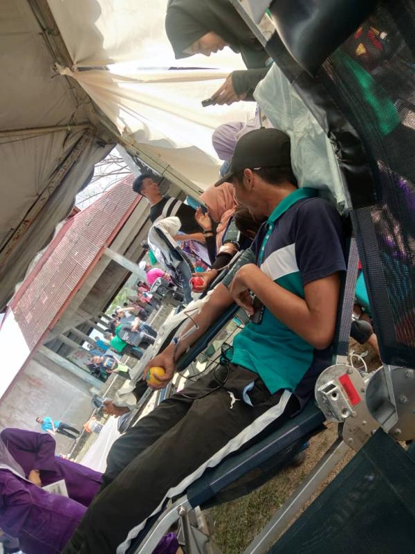 Derma Darah