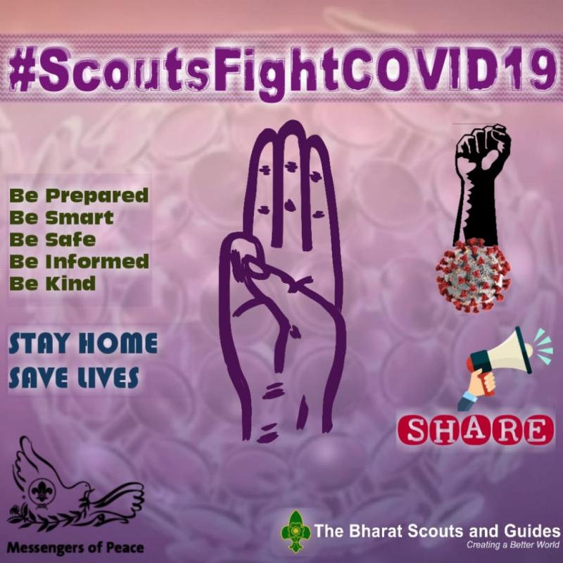  scoutfight covid-19