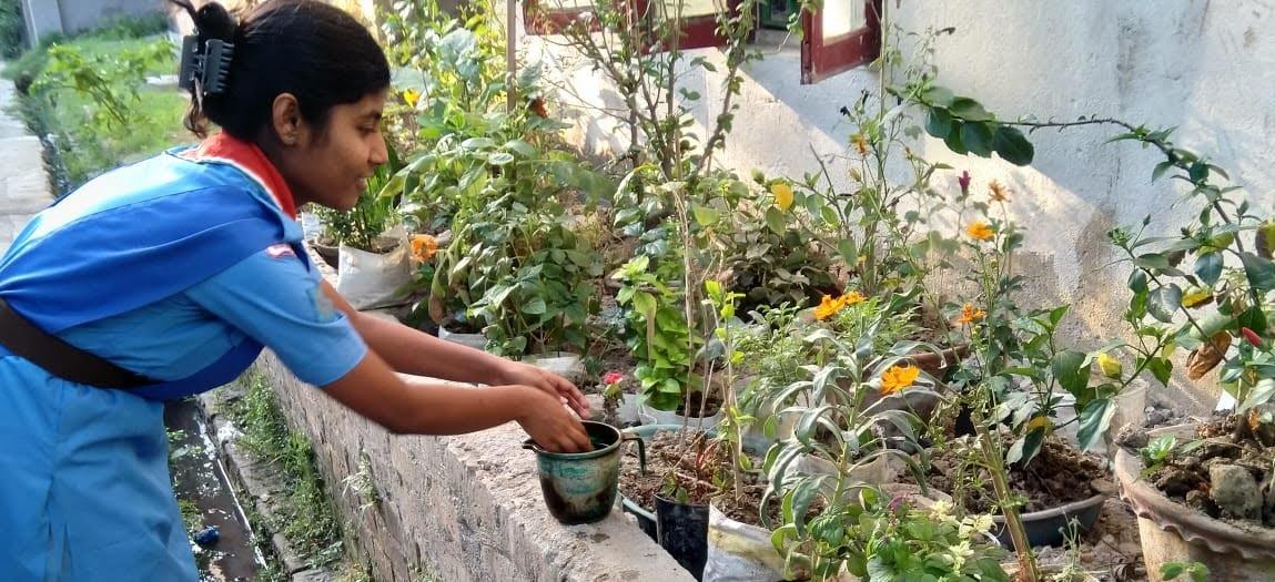 Celebrating World environment day