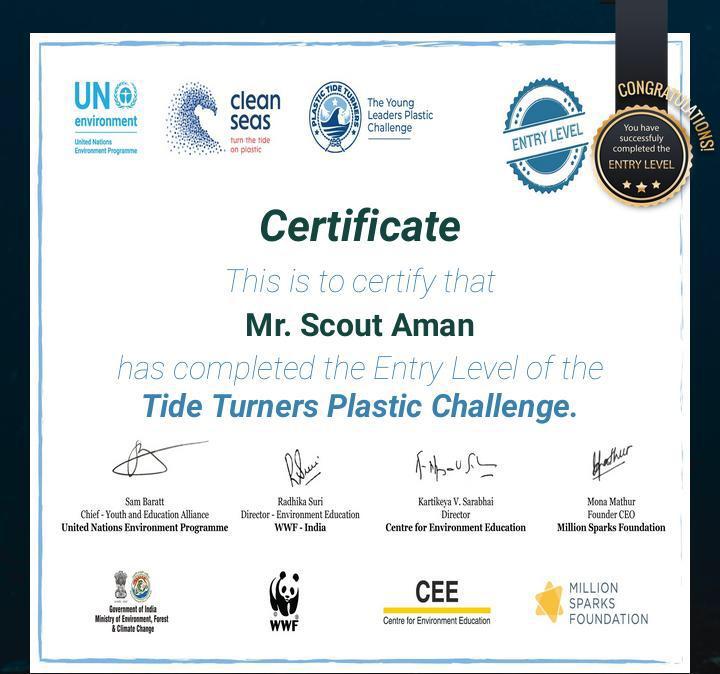 Entey level of Tide Turners Plastic Challenge