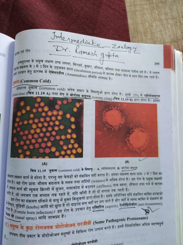 9pm#Group meeting on corona ppt.