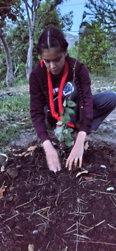 sankalp challenge 4 #groworganic