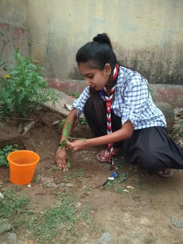 Enviroment & Sustainability...challenge No.(3):-#goorganic