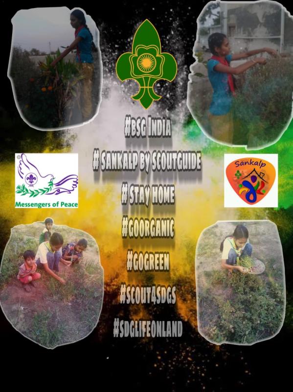 goorganic vegetables and # home farm(sankalp project) 