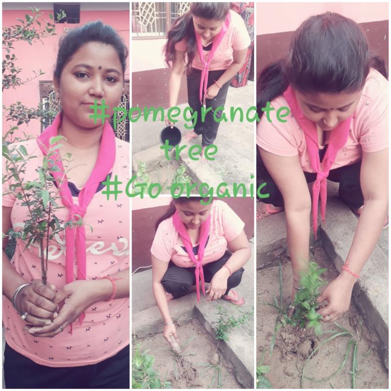 Sankalp⚜create  a better  tomorrow 
B).Environment &Sustainability..
Challenge - 4