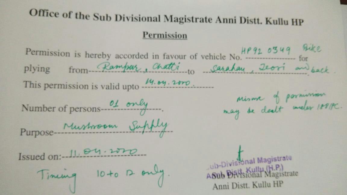 Help to make curfew pass