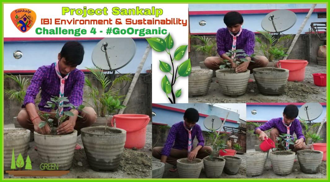 SANKALP PROJECT⚜️

Group B : Environment & Sustainability
Challenge 4 : #Goorganic