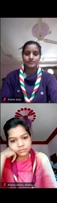 Virtual Meeting of BSGHP