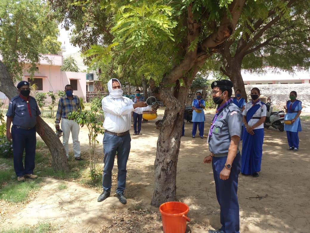 Rajasthan State Bharat Scouts and GuidesSummer Parinda Campaign in jhunjhunu 