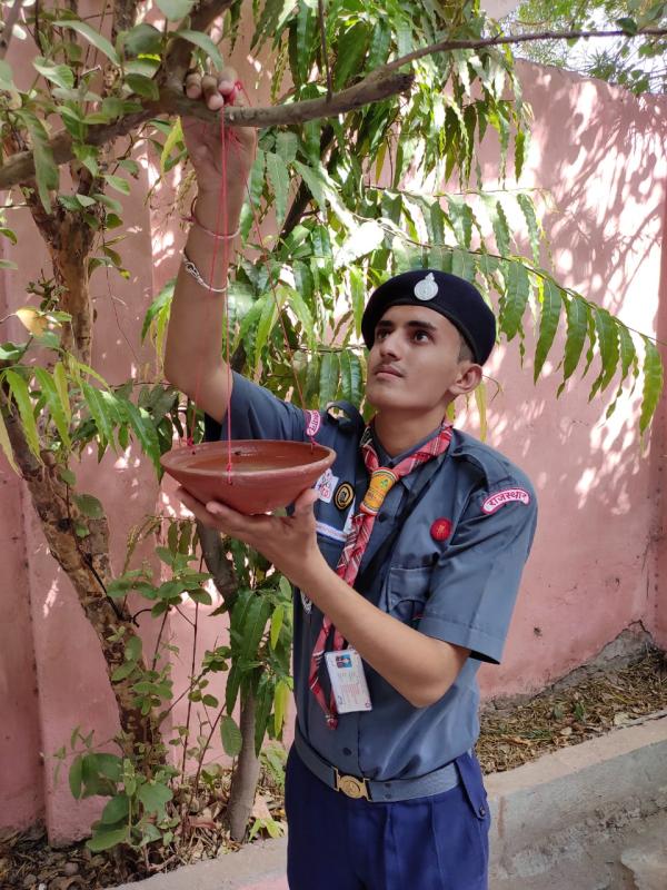 पक्षियों के लिये सकोरे 