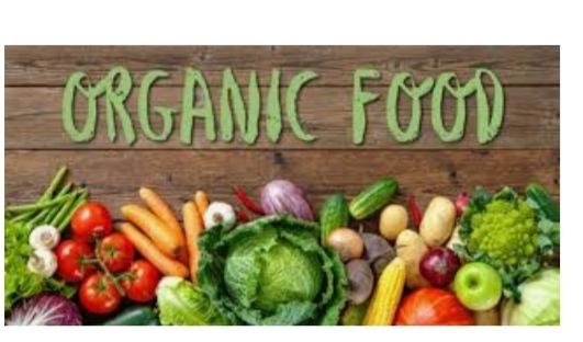 Organic Gardening at home (B) Environment & Sustainability