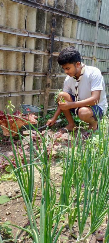challenge 4.Go organic