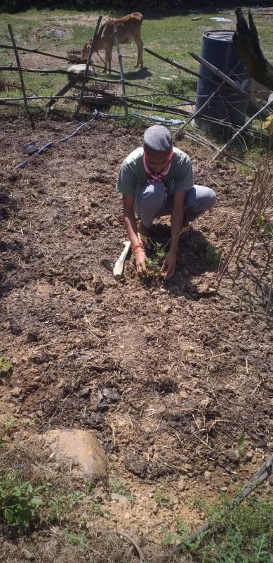 sankalp project # Goorganic. 