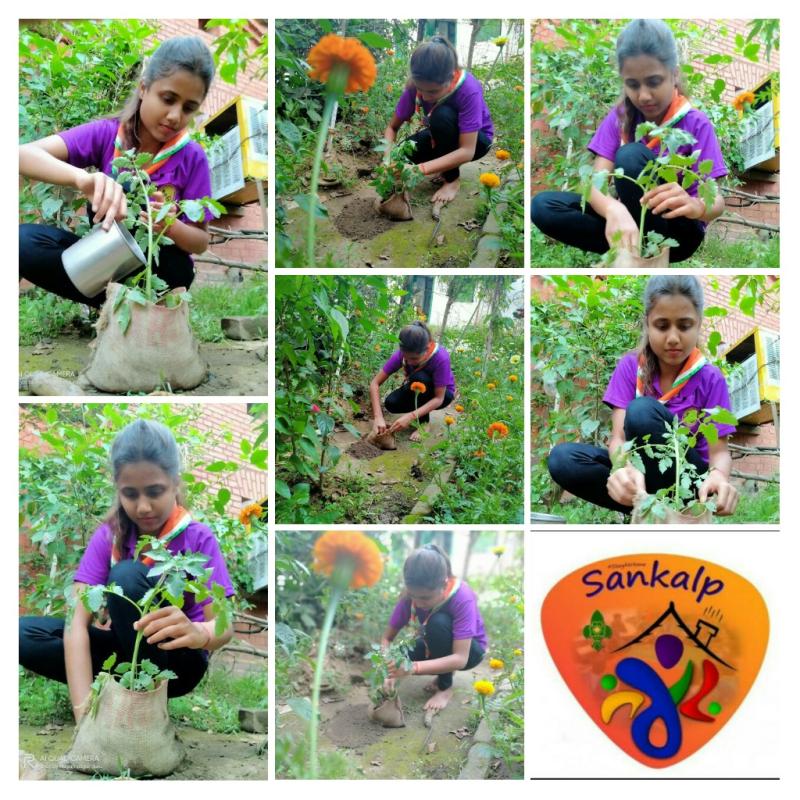 Sankalp Project Point (B)Environment & sustainability Challenge (4)#Goorganic