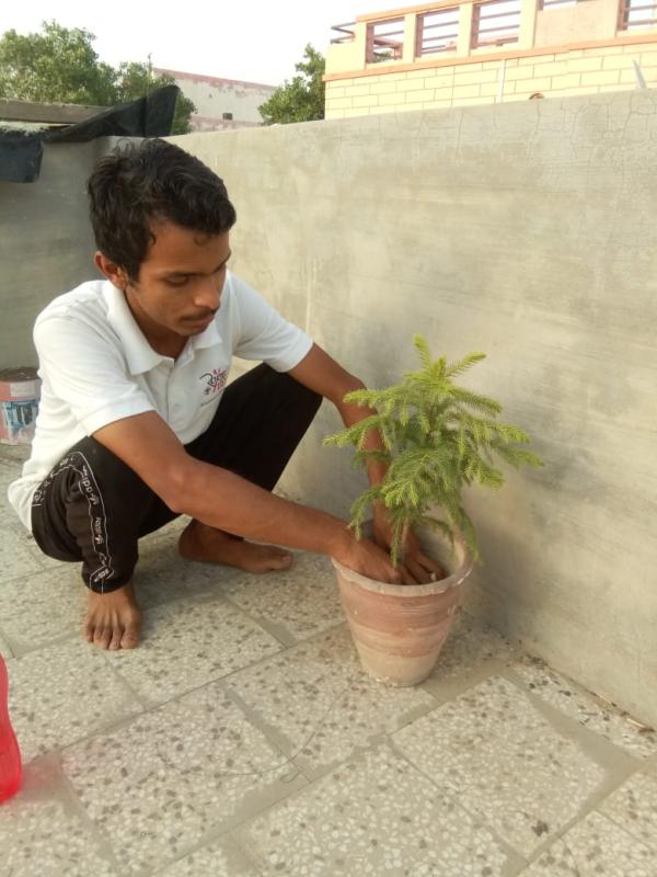 #sankalp [B] Environment and sustainability 